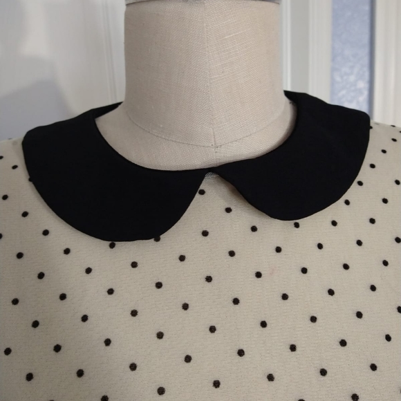 Zara Tulle Polka Dot Blouse - Picture 6 of 8